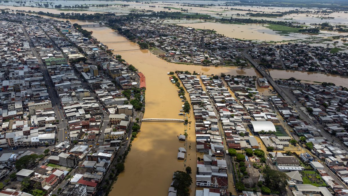 alcaldiabbhy's tweet photo. BABAHOYO EN EMERGENCIA: MÁS DE 25.000 FAMILIAS AFECTADAS
Desde el #COECantonal, liderado por el alcalde @GustavoBarquetM, se coordinan acciones inmediatas.

▶️https://t.co/bRRuAacymk

#AccionesInmediatas
#AlcaldíaCiudadanaDeBabahoyo https://t.co/eJ2gWp0cLL