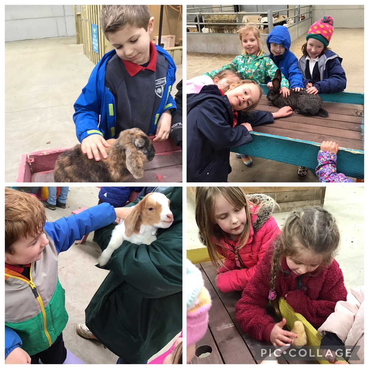 Elvington Church of England Primary School tweet media