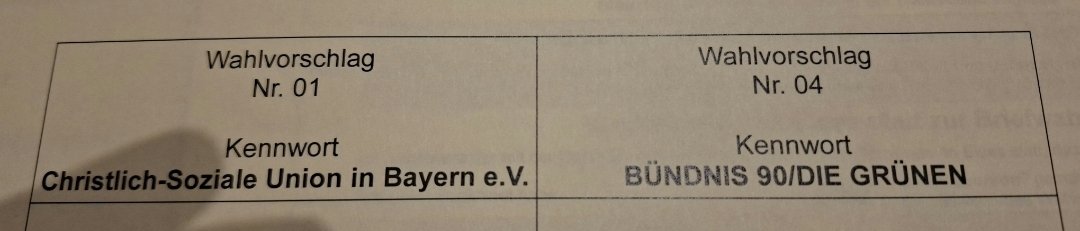 nepomux🥦 tweet media