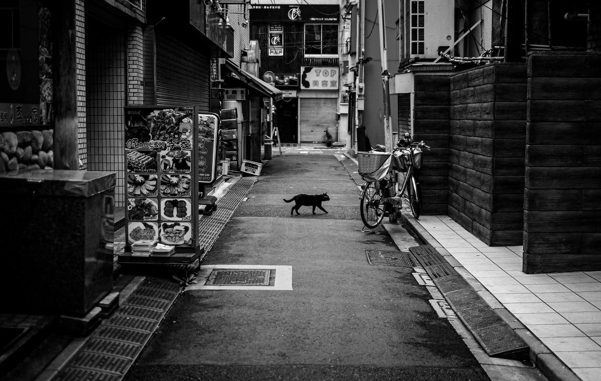 イツカノドコカ tweet media