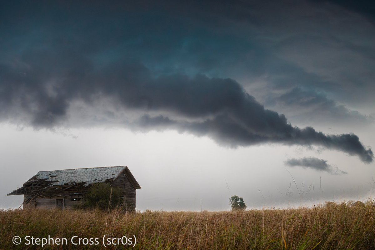 Stephen Cross tweet media