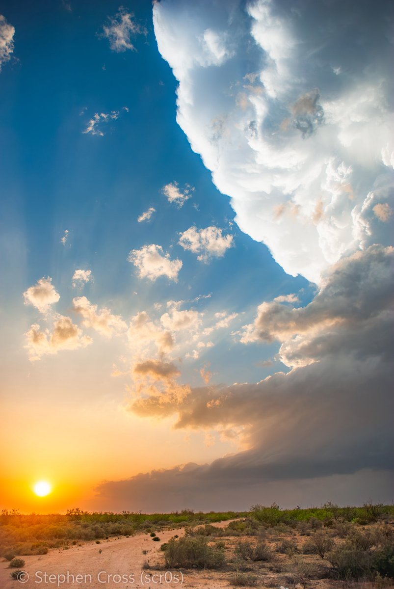 Stephen Cross tweet media