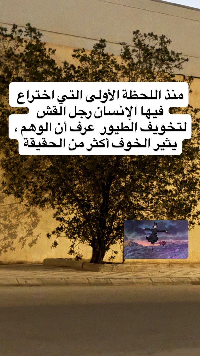 أُسامة tweet media