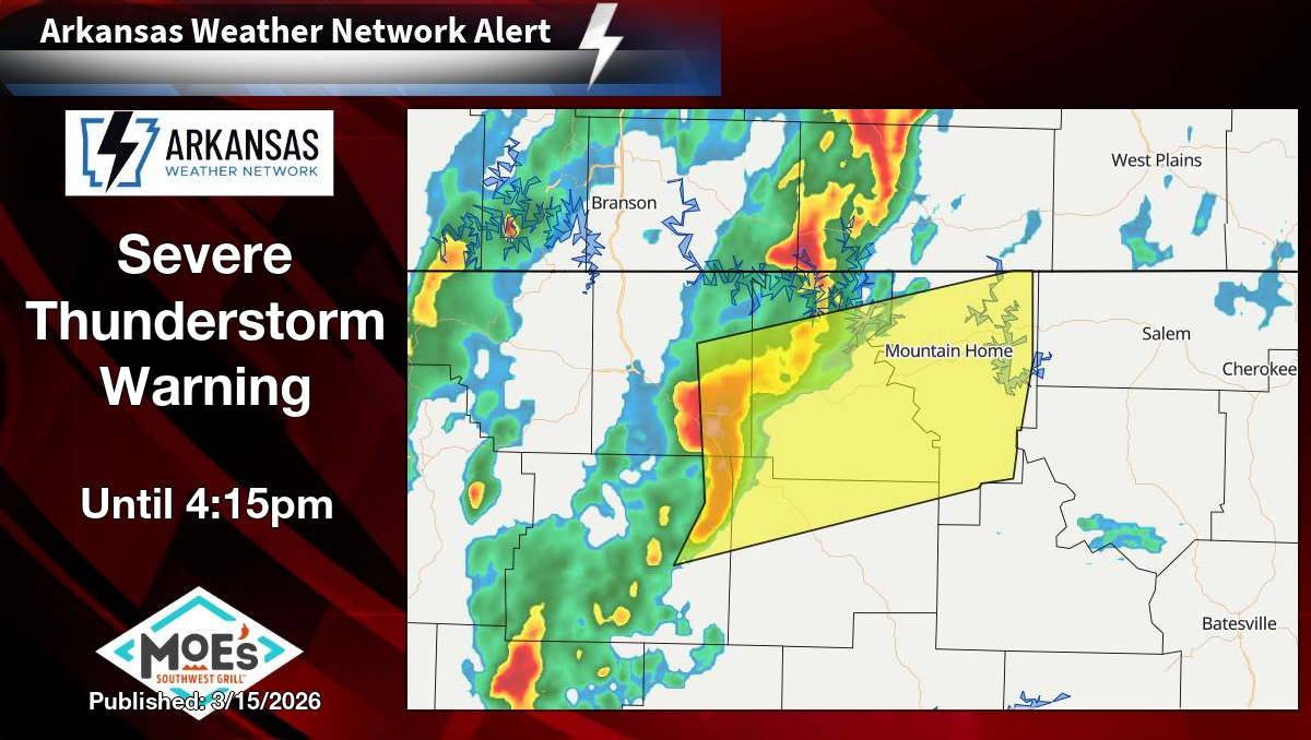 Zachary Hall tweet media