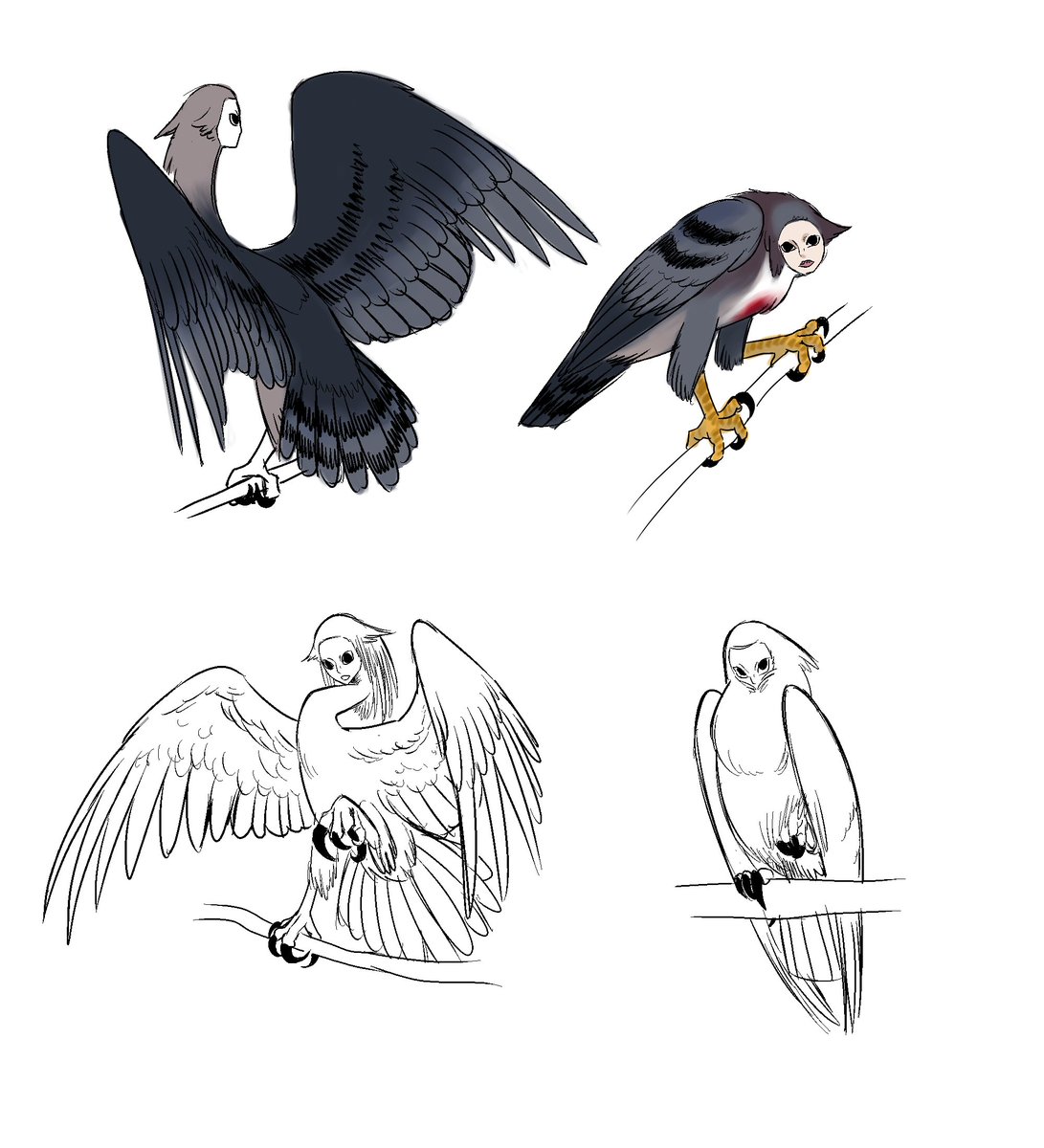 Strigula tweet media