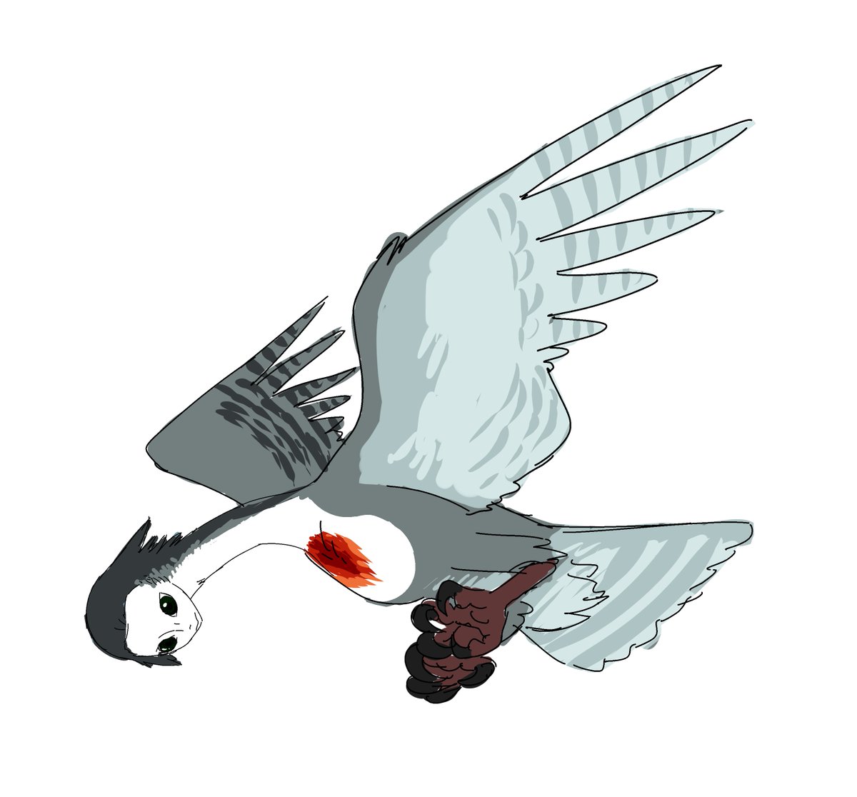 Strigula tweet media