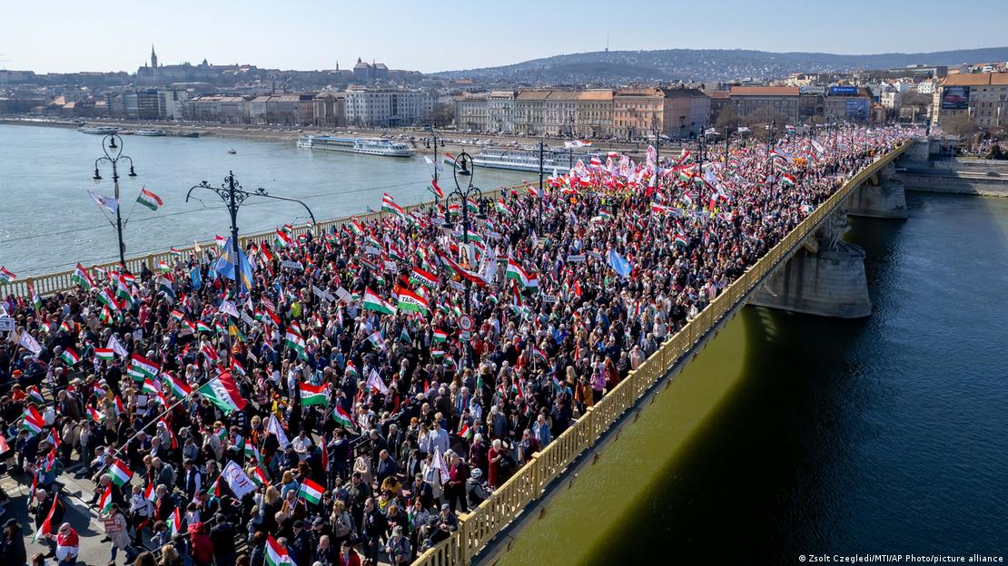 DW на русском tweet media