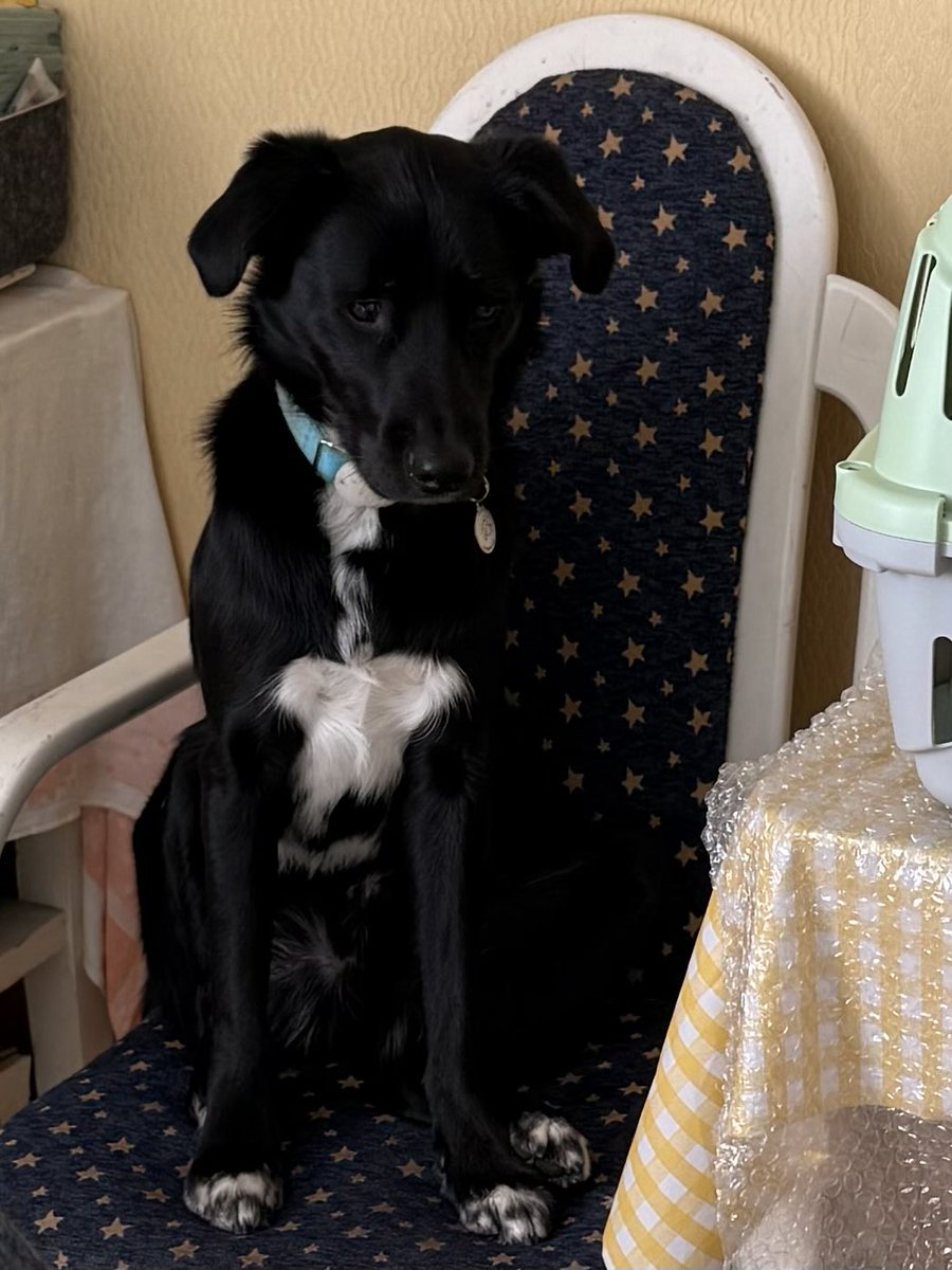 Alina P. tweet media