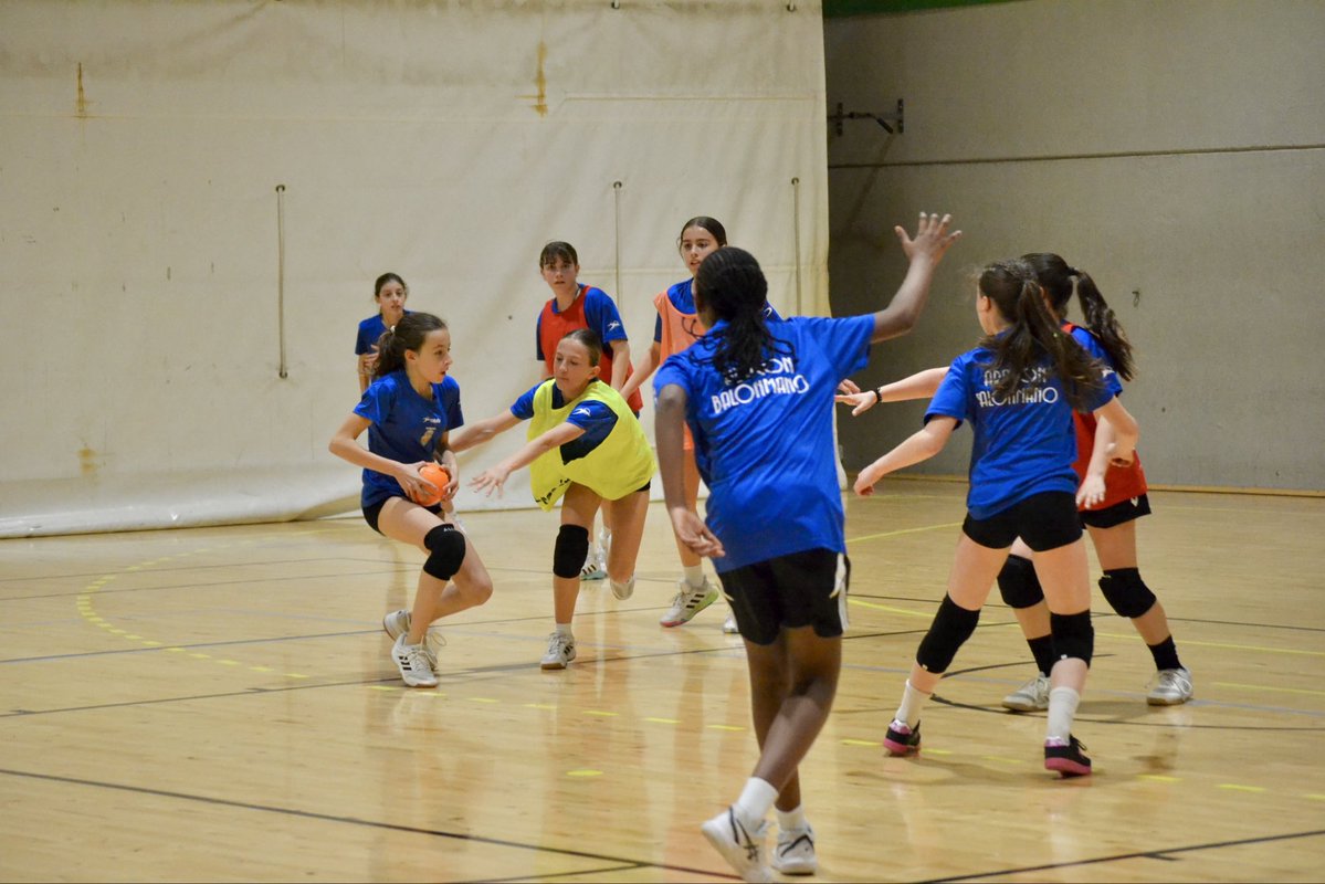 Fed. Aragonesa de Balonmano tweet media