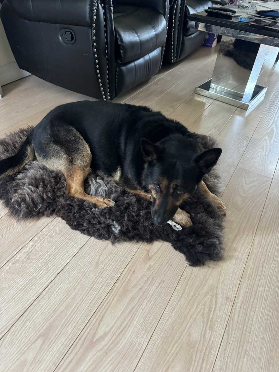 RPD Dixie tweet media