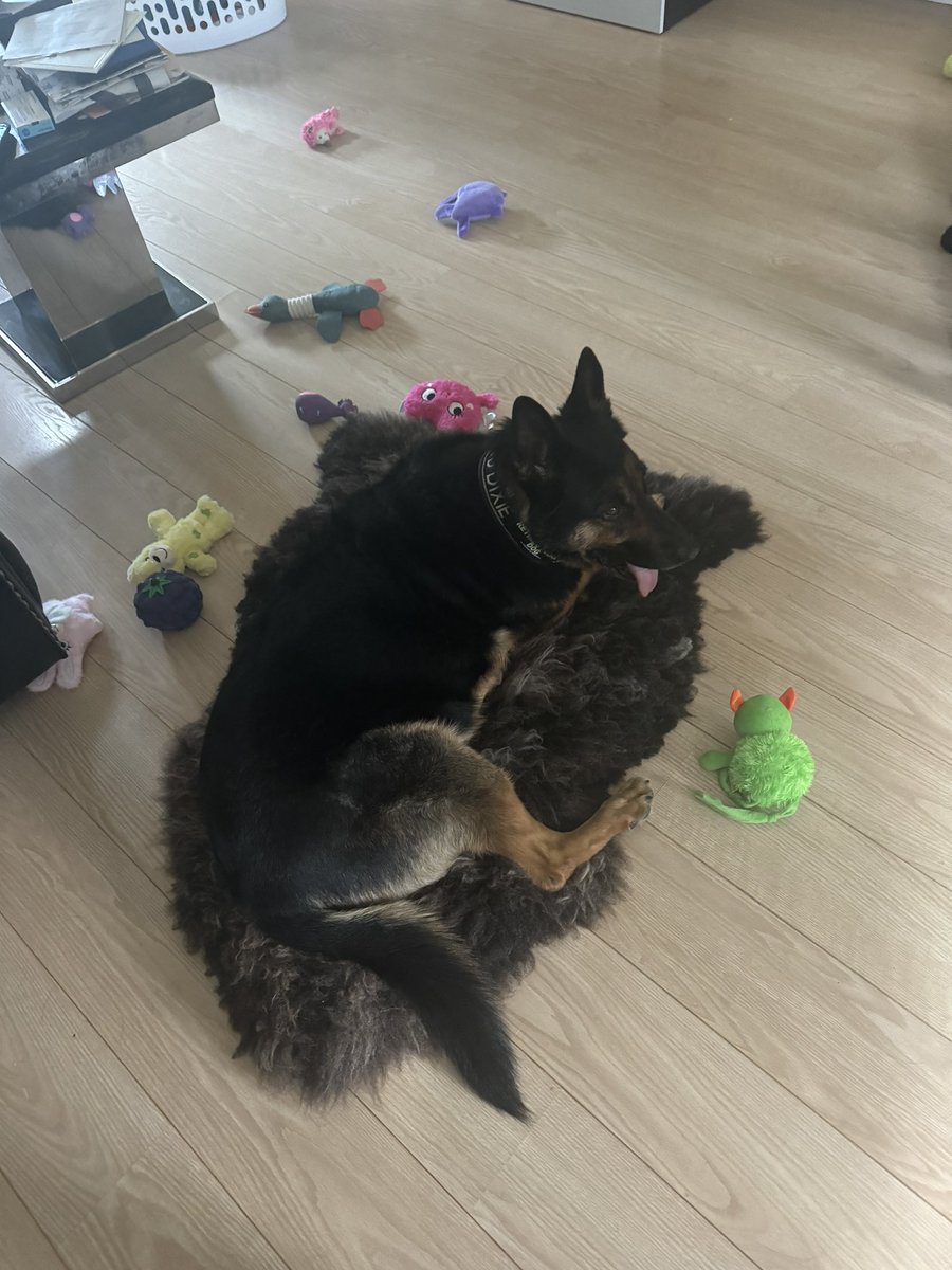 RPD Dixie tweet media