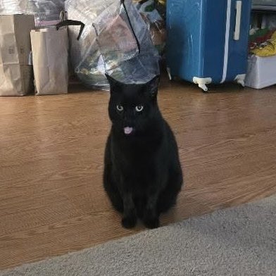 Hayley!🎙️💖 @ rise and grind! 😮‍💨 tweet media