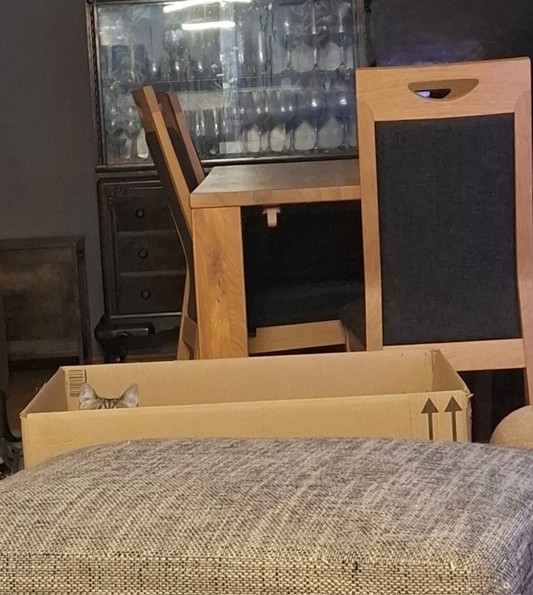 Handwerkskoala Steve🐨📯 tweet media