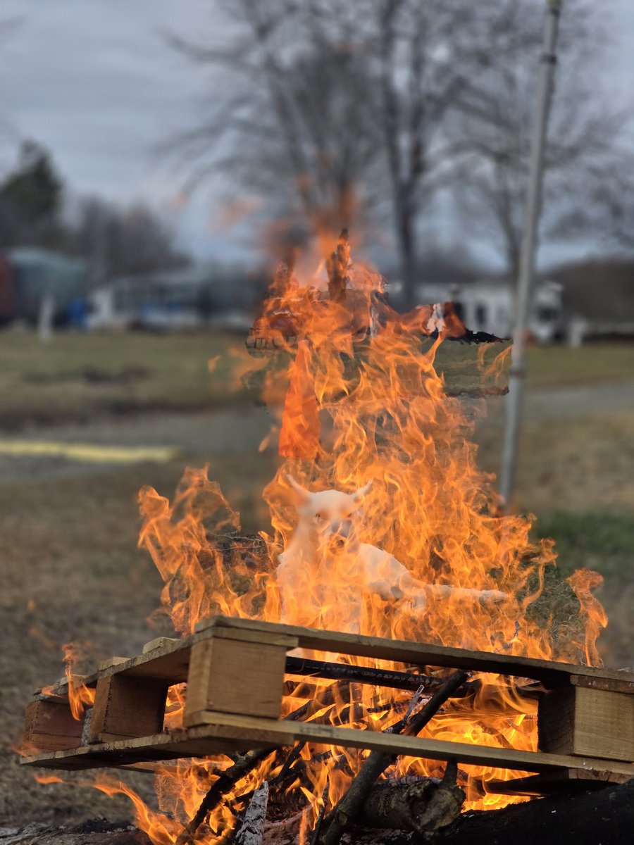 Ryan benoit tweet media