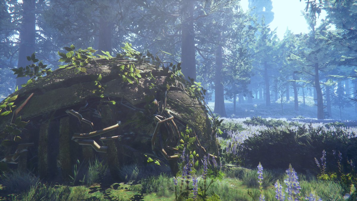 Sonic Series Fan tweet media