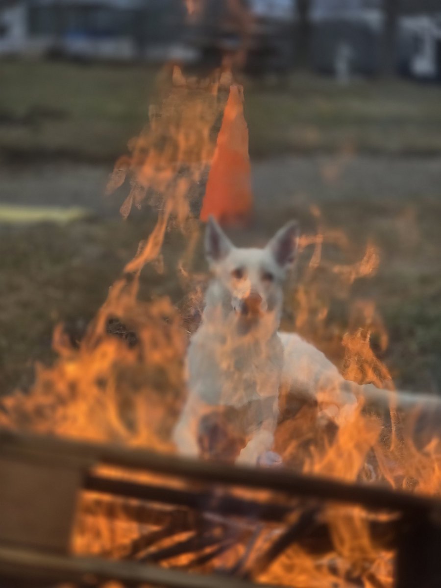 Ryan benoit tweet media