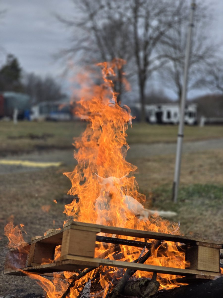 Ryan benoit tweet media