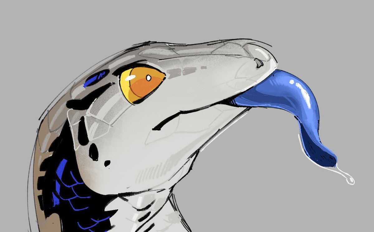 Arlo 🔞 tweet media