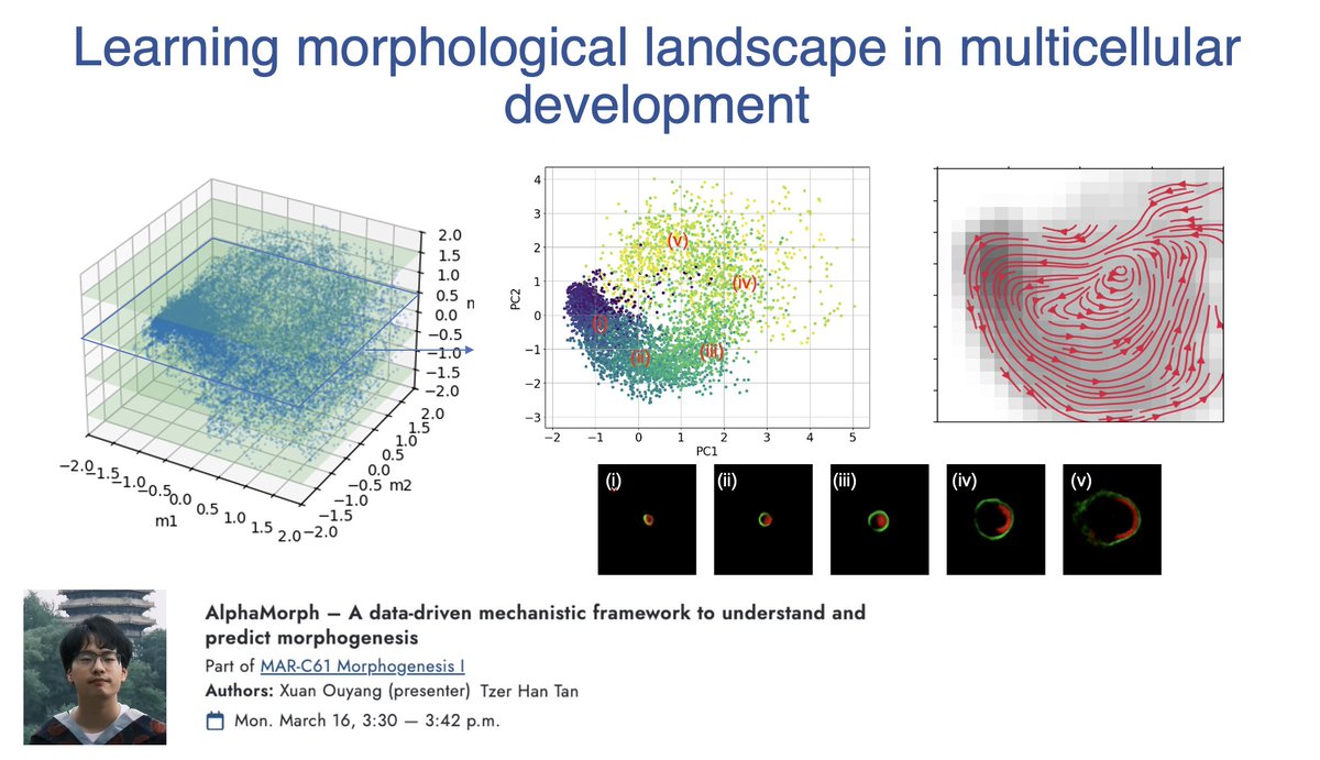 Tzer Han Tan tweet media
