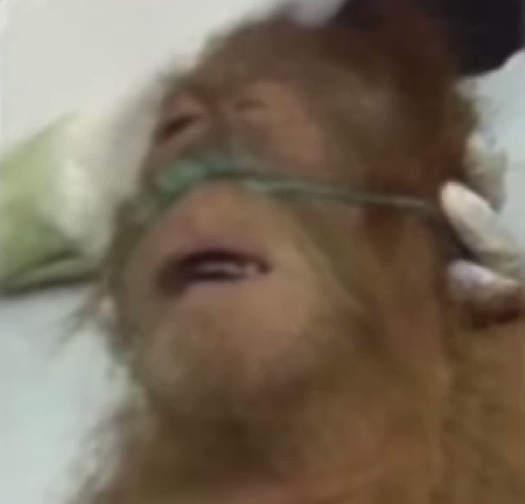 The Tennis Letter tweet media