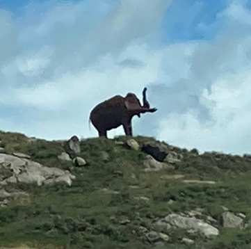 Mike Beck tweet media