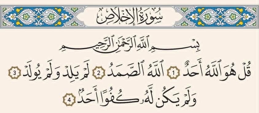 .⋆｡°✩ ✩°｡ tweet media