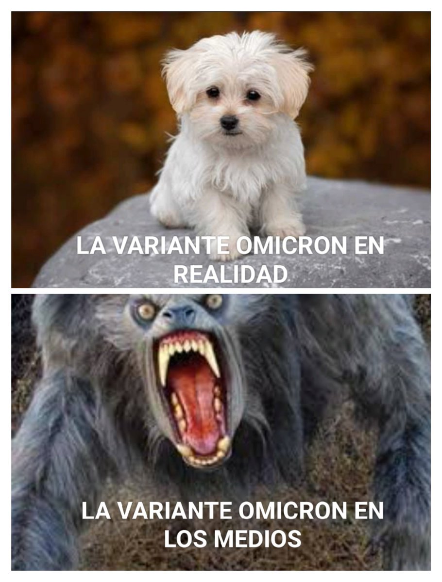 I'm an Avatar™ tweet media