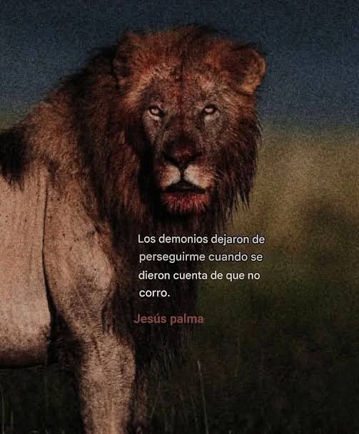 ...Lιᥲm 🪐 tweet media