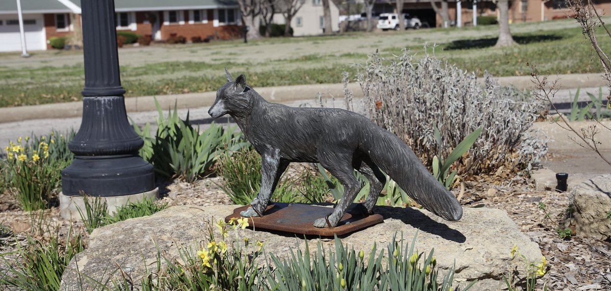 Christopher McQuade tweet media