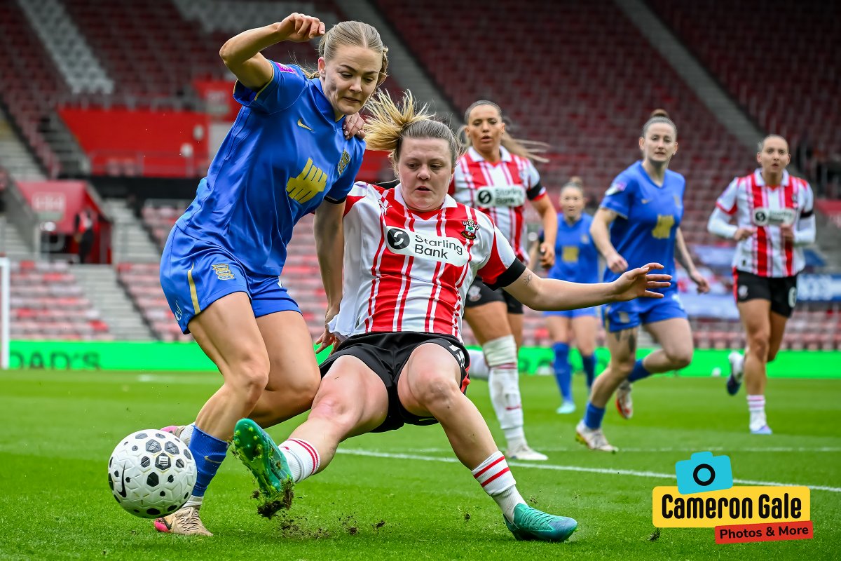 Behind The Fence Photography tweet media