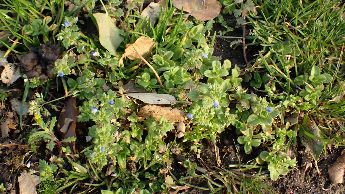 Moira O'Donnell 🏴󠁧󠁢󠁳󠁣󠁴󠁿 tweet media