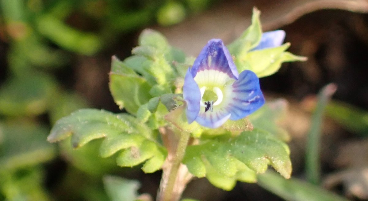 Moira O'Donnell 🏴󠁧󠁢󠁳󠁣󠁴󠁿 tweet media