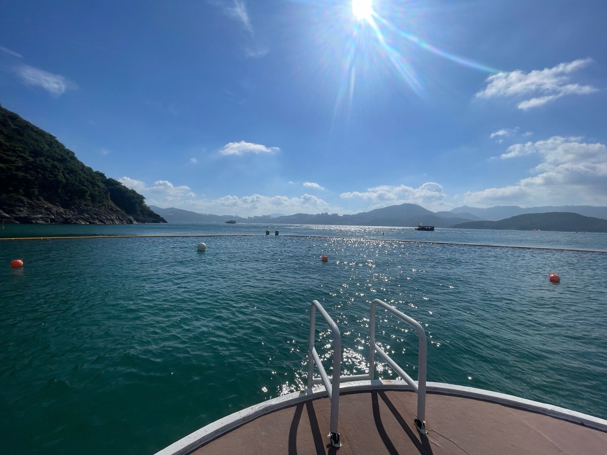 Paul Fischer tweet media