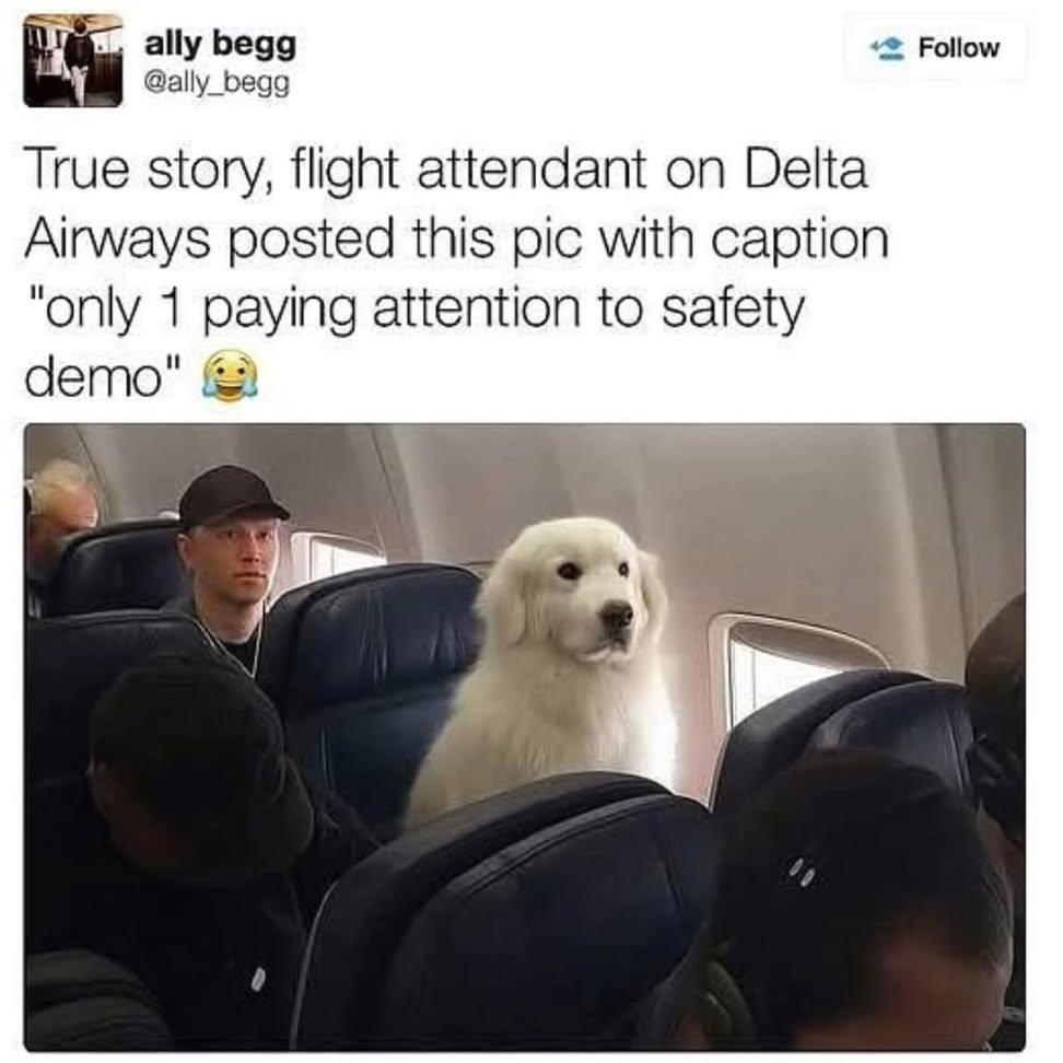 Wholesome Side of 𝕏 tweet media