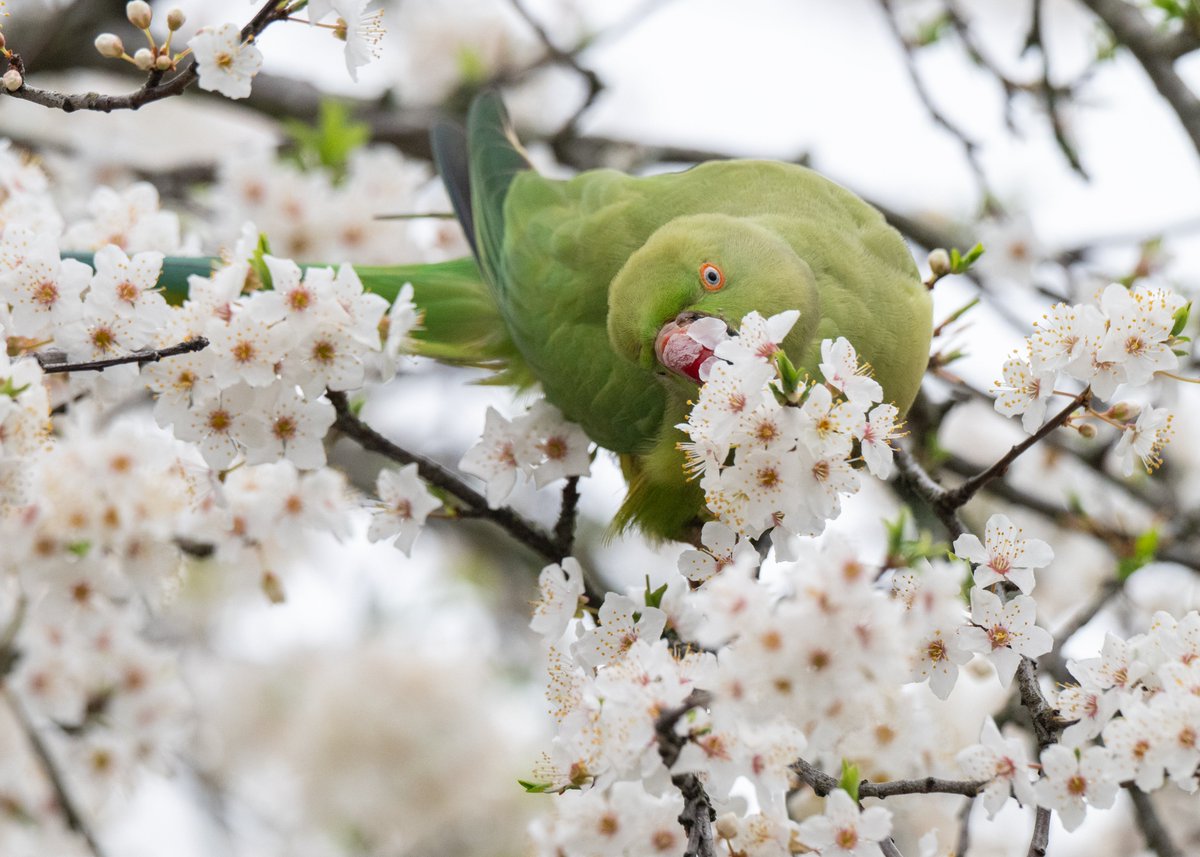 Brian Gallagher tweet media