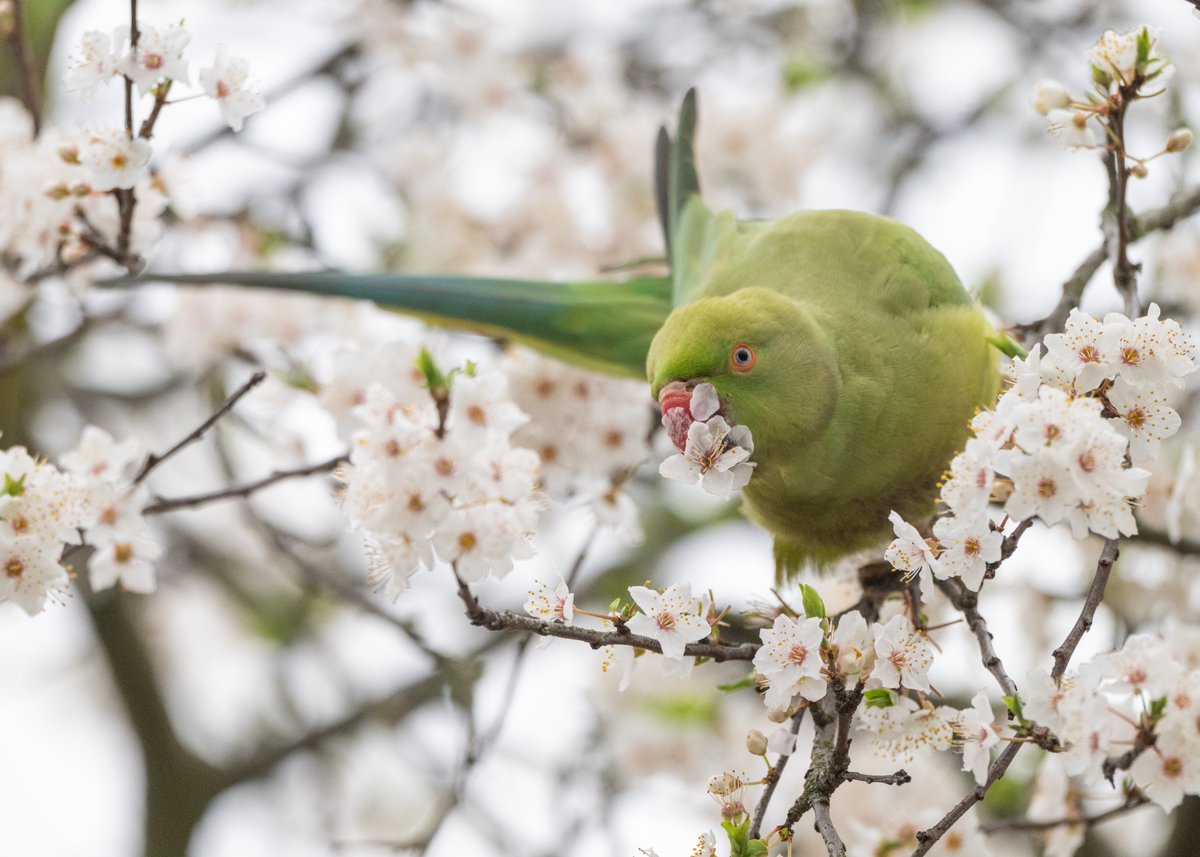 Brian Gallagher tweet media
