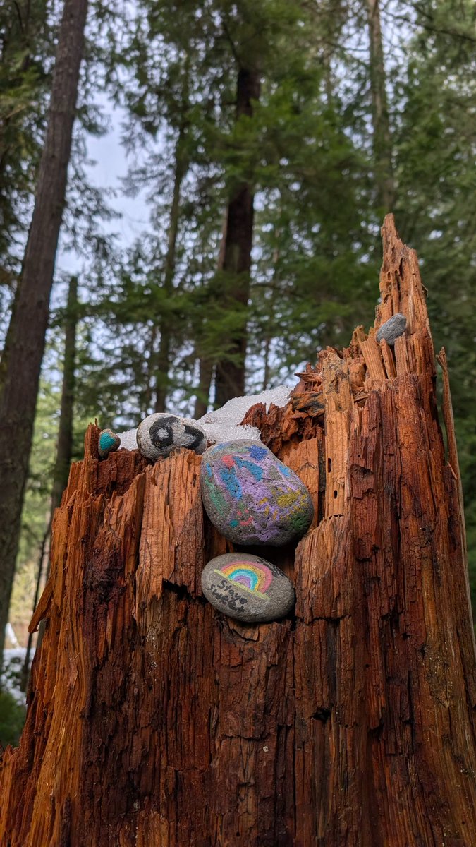 The Questing Geek tweet media