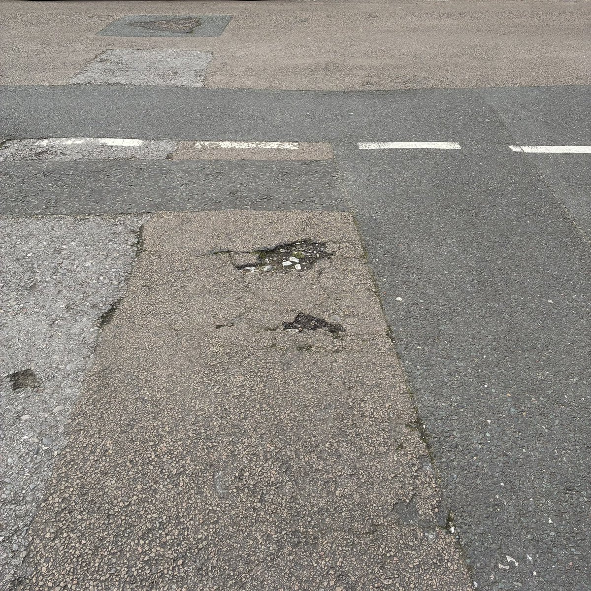 Fergus Foord tweet media