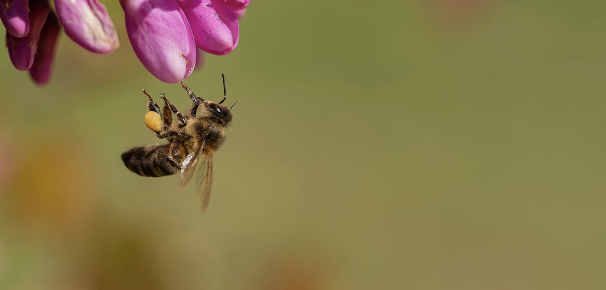 Christopher McQuade tweet media