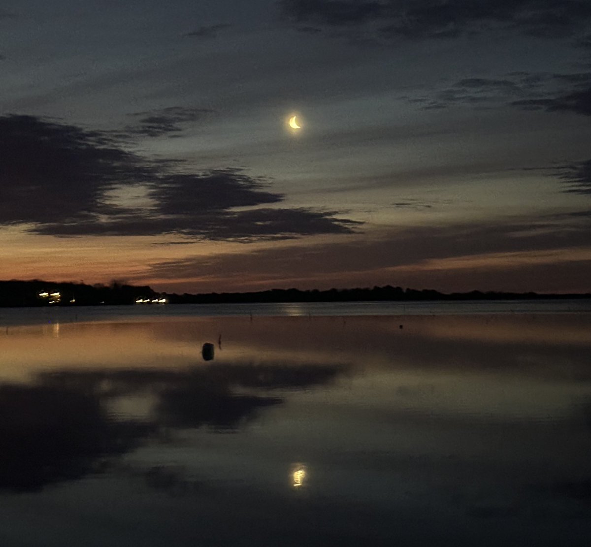 Claire Zoe tweet media