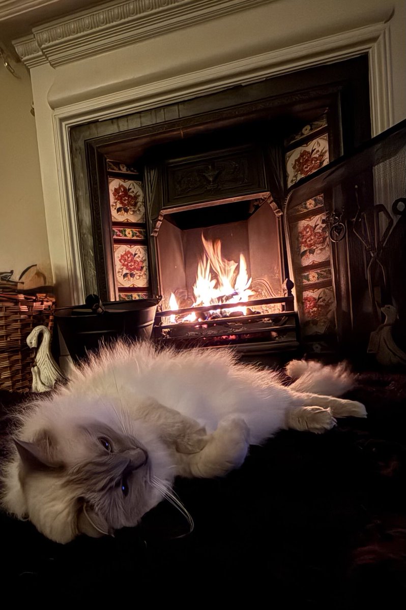 Sam Raincock tweet media