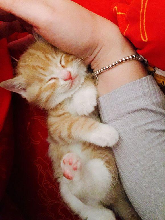 SummerOfficial tweet media