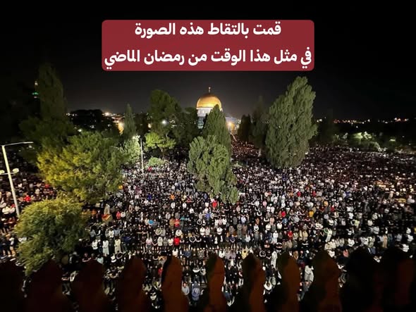 المسجد الأقصى tweet media