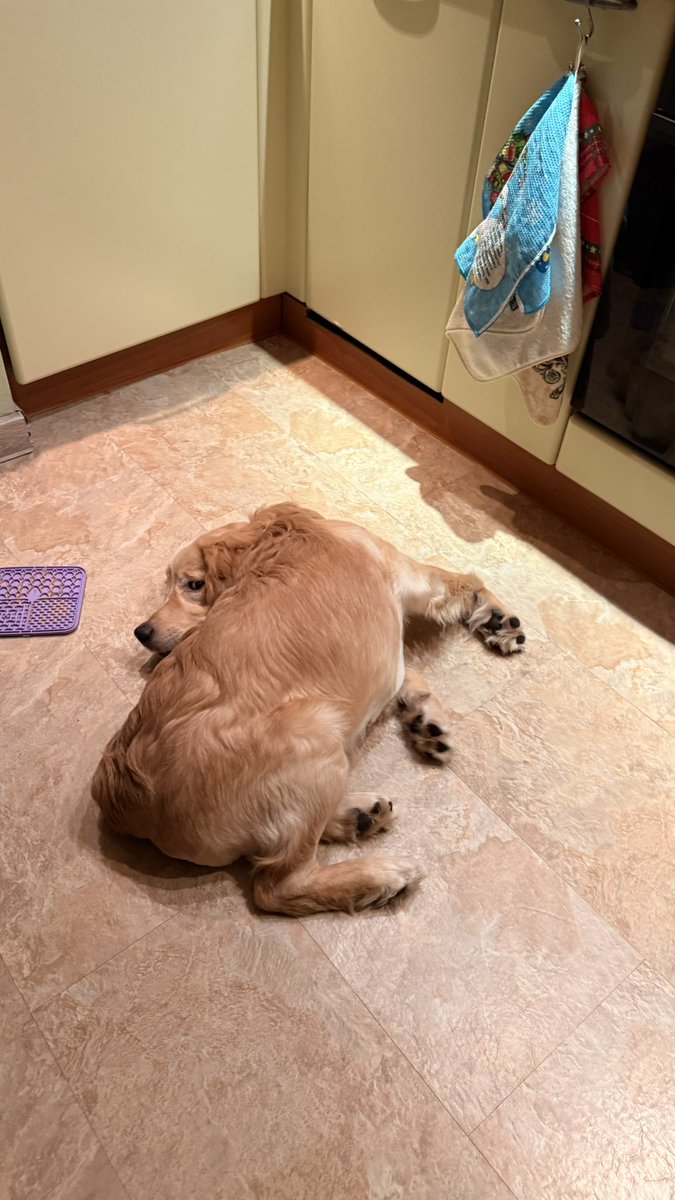 Нытьяна tweet media