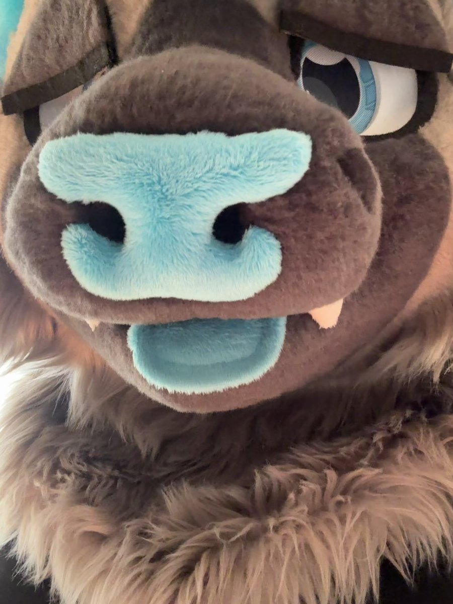 dashy 🔜 FWA, AC?, MP tweet media