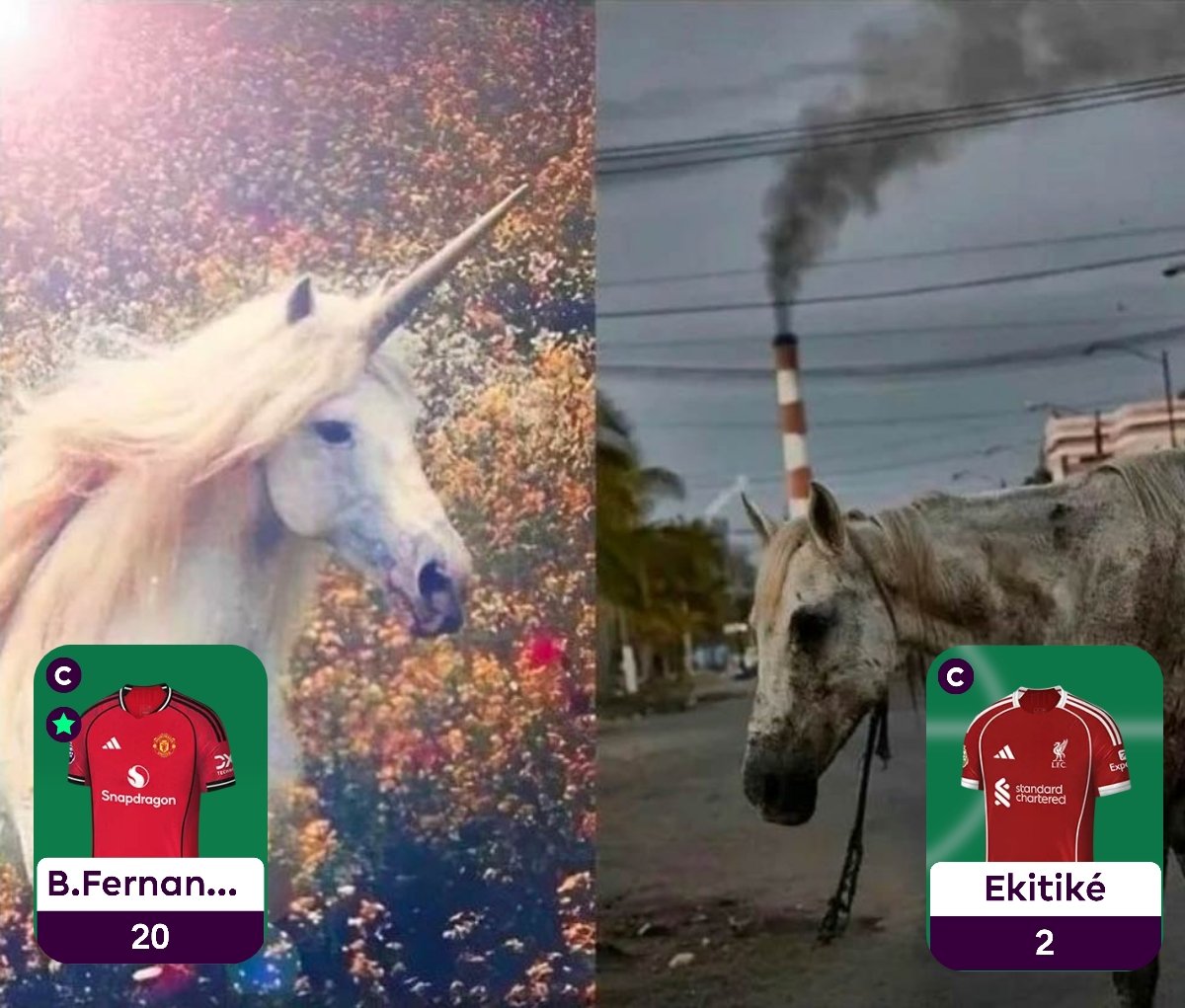 Troll Fantasy Football tweet media