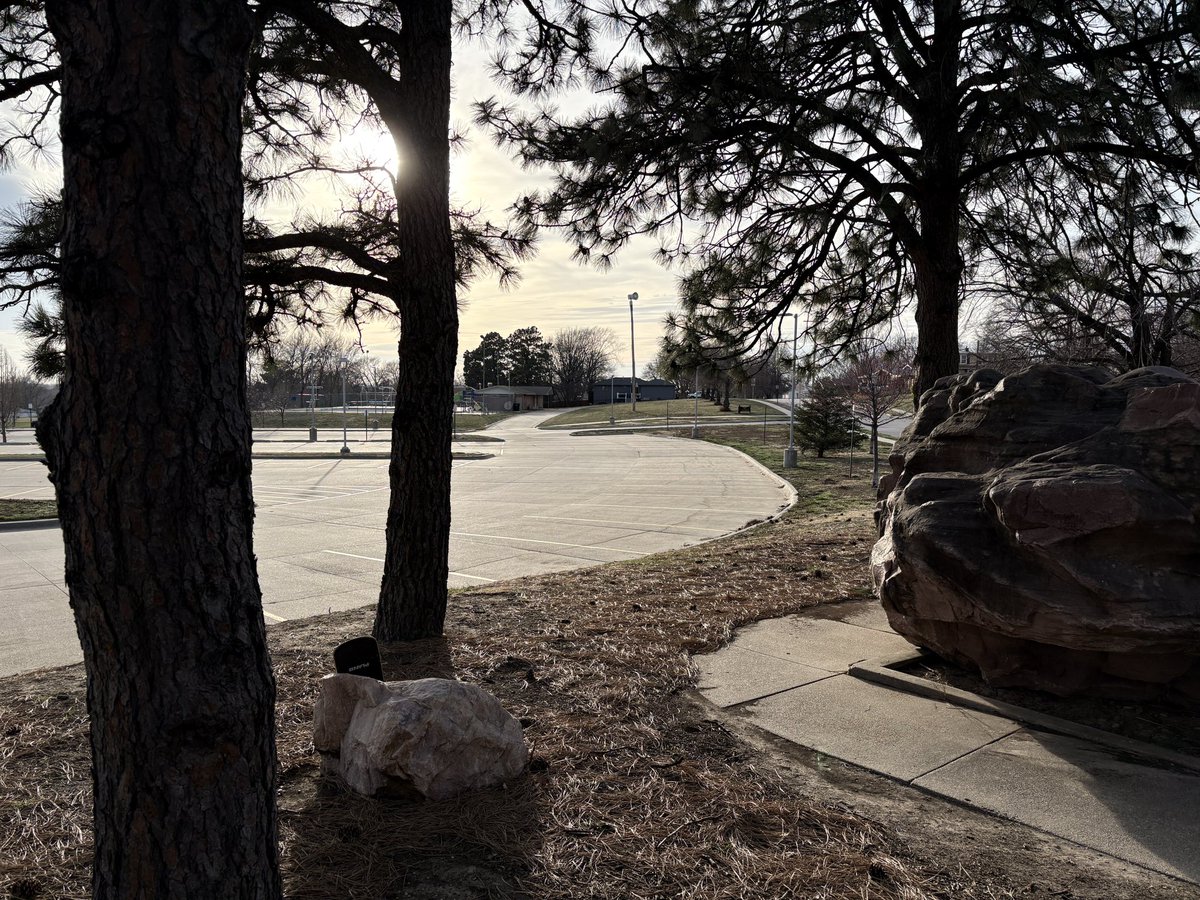 i like this picture i took