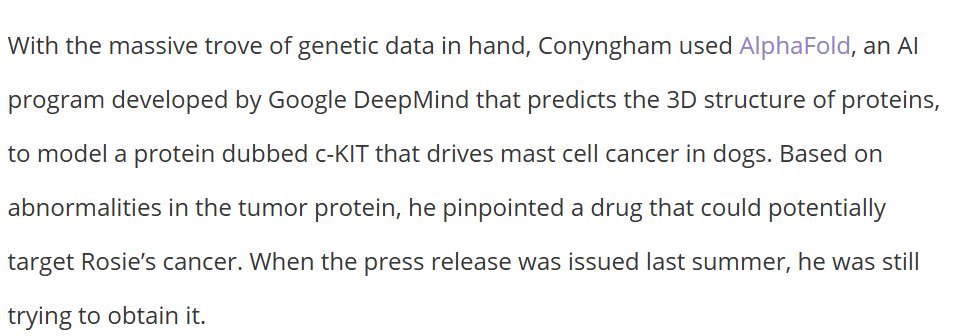 Jiankui they/them tweet media