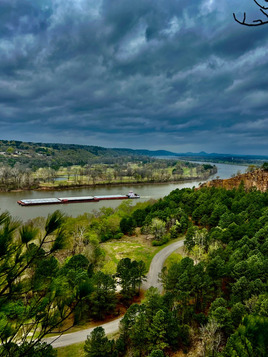 Patriot S tweet media