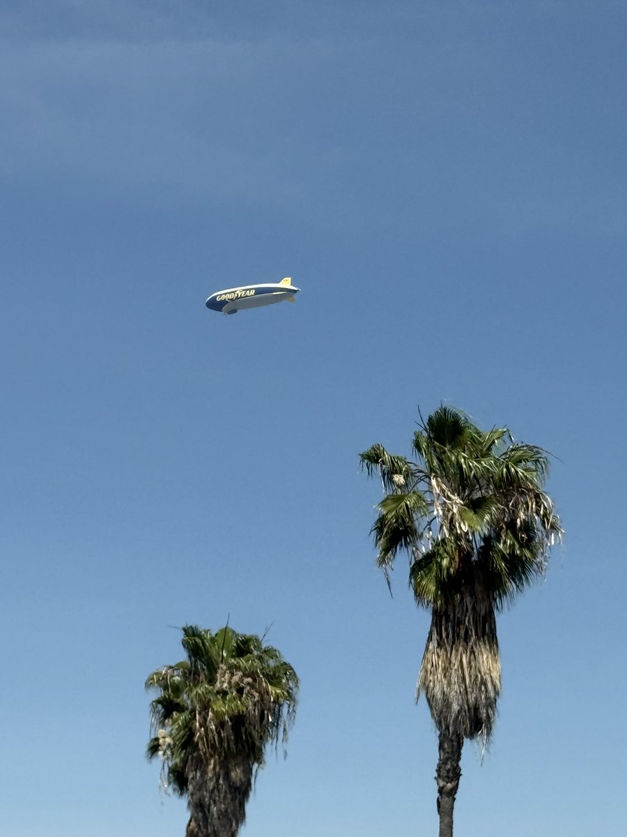 Carey O'Donnell tweet media